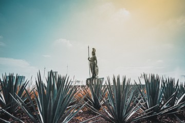 Guadalajara: Conexión industrial aérea, marítima y terrestre.